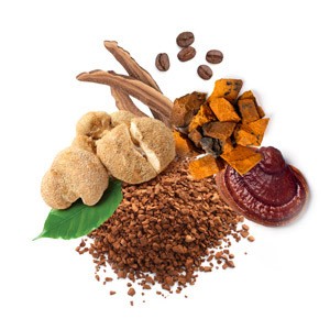 Mycocoffe MycoMedica